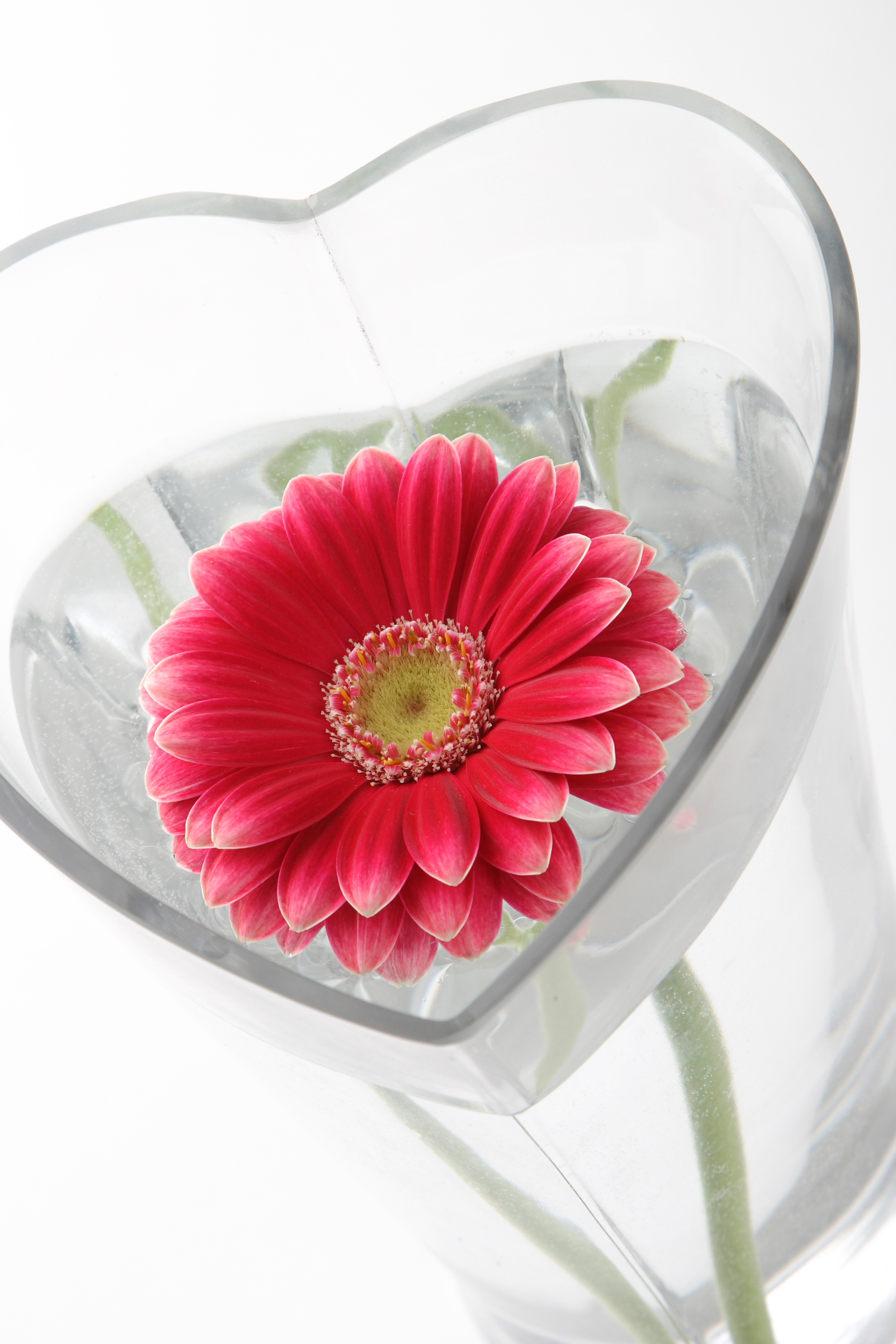 みらい法務事務所イメージ